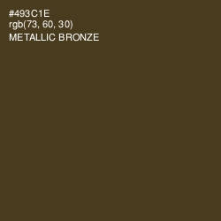 #493C1E - Metallic Bronze Color Image